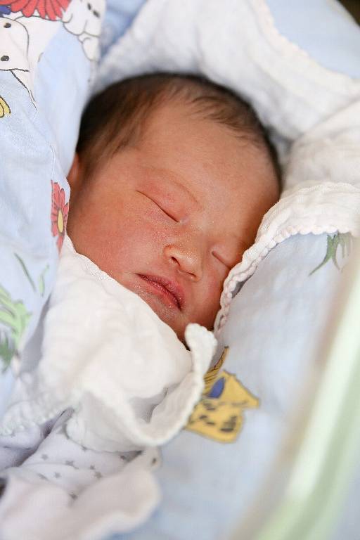 GIA HUY NGUYEN se poprvé rozkřičel v sobotu 2. ledna v 16.43 hodin. Při narození vážil 3 280 gramů a měřil 49 centimetrů. Z malého brášky se raduje doma v Chebu sestřička Minh Trang, maminka Tho a tatínek Luyen.