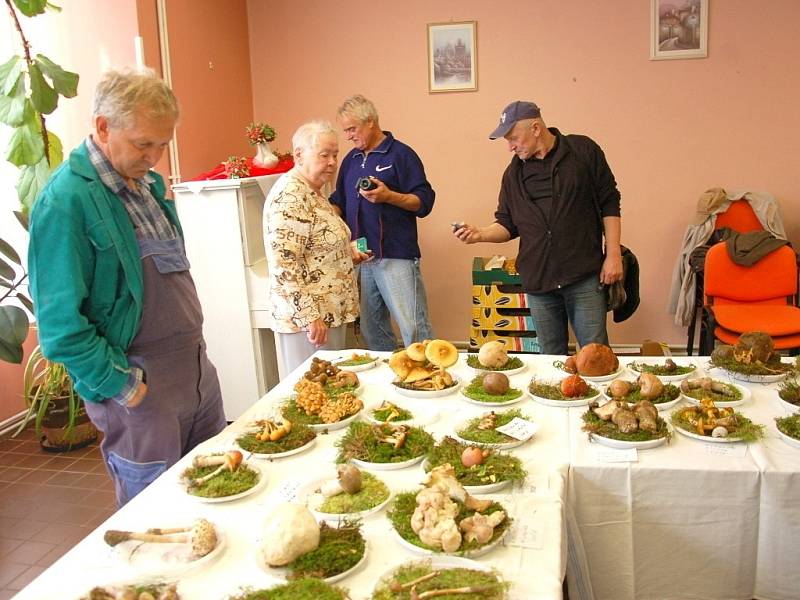  Nejen senioři si mohli prohlédnout celkem sto čtyřicet druhů hub v Domově pro seniory na chebském sídlišti Skalka. 