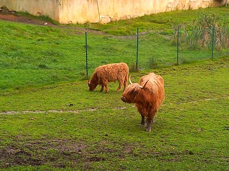 Území kolem přehrady Skalka nese název Goethův naučný lesopark.