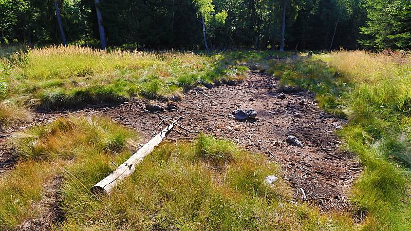 Mokřadní přírodní památka Sirňák úplně vyschla, jen sirovodík je cítit