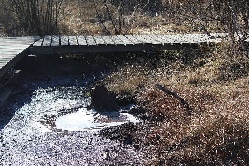 O víkendu bylo v přírodní rezervaci SOOS liduprázdno.