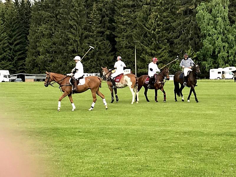 Royal Golf & Polo cup