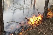 Požáry v Karlovarském kraji zaměstnaly hasiče.