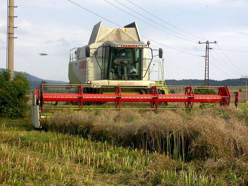 Na Chebsku už vyrazily kombajny do polí