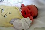 TEREZA ŠAFRÁNKOVÁ z Velké Hleďsebe se narodila v chebské porodnici 12. května v 6.15 hodin. Měřila 51 centimetrů a vážila 3,68 kilogramu