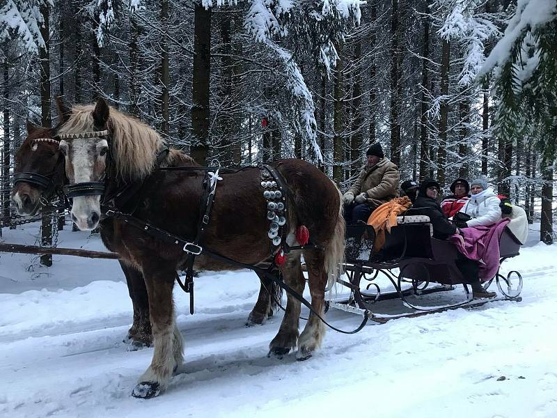 Kočárová doprava zažívá krizi. Úspory zmizely a podnikatelé se dostávají do situace, kdy nemají na krmení, veterinu ani na kováře.