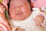 PHUONG LINH VANESA TRINH se narodila ve středu 7. května v 8.55 hodin. Při narození vážila 3 950 gramů a měřila 48 centimetrů. Doma v Chebu se z malé dcerušky raduje maminka Thu Huong, tatínek Phong a sestřička Janička.