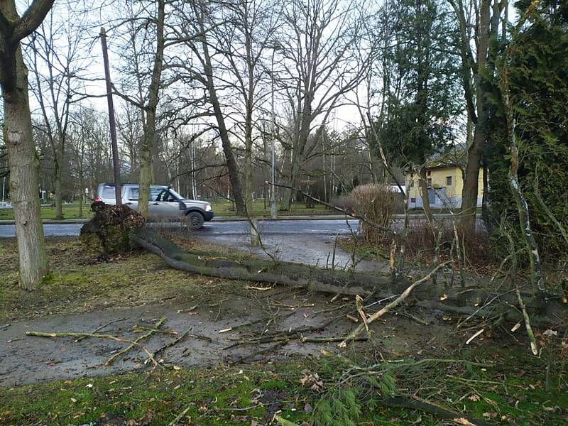 Škody se nevyhnuly ani Františkovým Lázním. Po městě jsou popadané stromy a mezi úsekem Cheb – Františkovy Lázně ani zatím nejezdí vlaky.