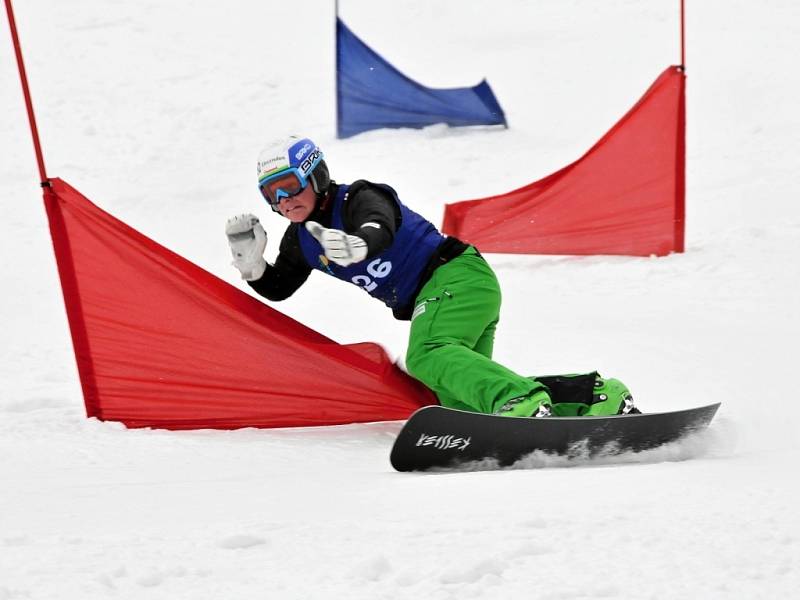 Čtvrtý ročník FIS Evropského poháru ve snowboardingu se konal v Mariánských Lázních.