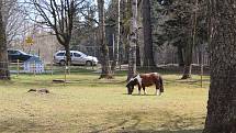 Park Boheminium v Mariánských Lázních v sobotu lákal spoustu návštěvníků.