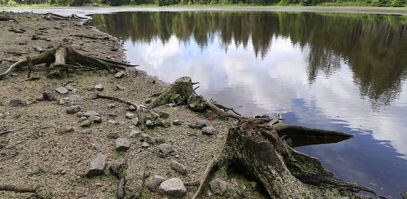 Malebnou Kladskou čekají opravy rybníků