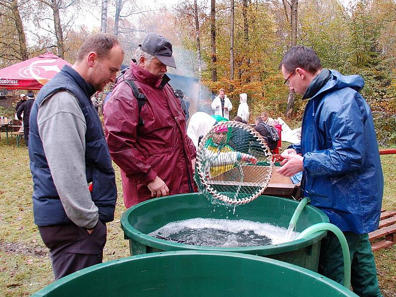 Mezi prvními se začal lovit rybník Březovka – Porcelánka v Aši. 