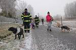 ČLENOVÉ Sboru dobrovolných hasičů Cheb Háje věnovali psímu útulku v Hraničné 8 tisíc korun. Následně vyrazili pejsky vyvenčit.