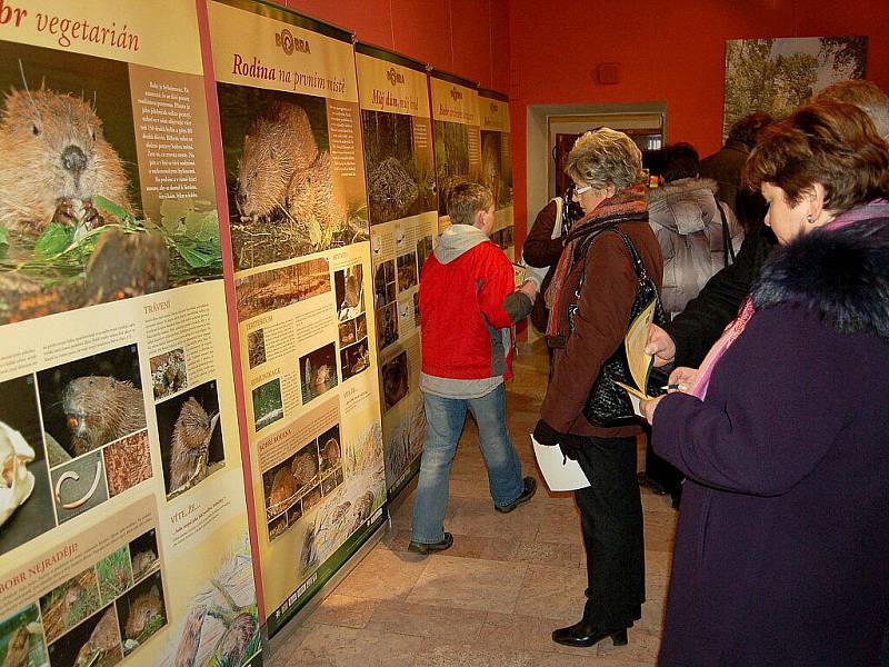 MNOHO ZÁJEMCŮ se zúčastnilo znovuotevření chebského muzea po dvouměsíční pauze. Muzeum Cheb zahájilo svou další sezonu vernisáží výstavy o bobru evropském a vydře říční. 