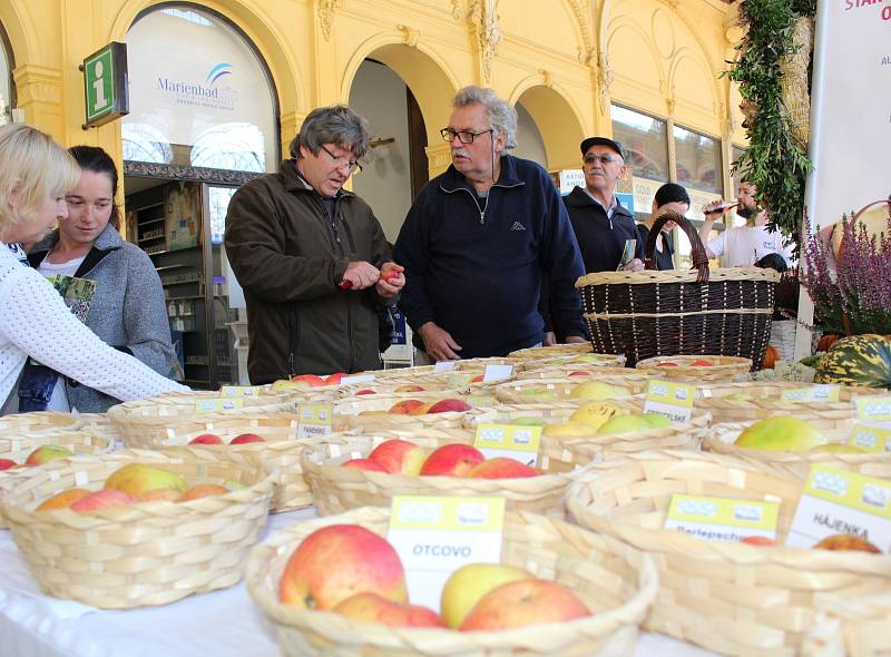 Pestrobarevná jablka a hrušky, voňavé, čerstvě upečené štrúdly a pestrobarevné dětské obrázky. Takový byl ve zkratce další ročník vyhlášeného Lázeňského festivalu jablek v Mariánských Lázních.