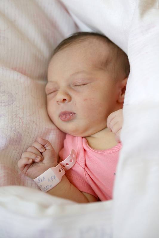 ELIŠKA LOSOVÁ se narodila v úterý 2. května v 11.59 hodin. Při narození vážila 3 550 gramů. Z malé Elišky se těší doma ve Valech sestřička Anetka spolu s maminkou Ivanou a tatínkem Tomášem.