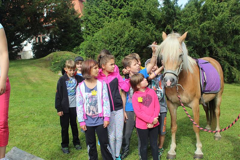 Příměstského tábora Domu dětí a mládeže Sova Cheb se zúčastnila téměř třicítka dětí. Ty si během prázdninového týdne užily mnoho zábavy.