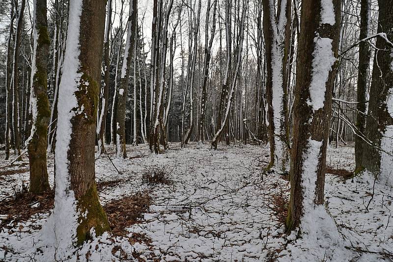 Fotoklub se vydal poznávat krasové jevy pod Dylení