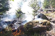 K Milíkovu vyjíždělo několik hasičských jednotek k požáru lesa. Foto: Hasičský záchranný sbor Správa železnic, státní organizace JPO Cheb