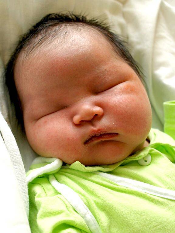 TANG MANH HUNG se narodil v úterý 26. dubna v 11.31 hodin. Při narození vážil 4900 gramů a měřil 53 centimetrů. 