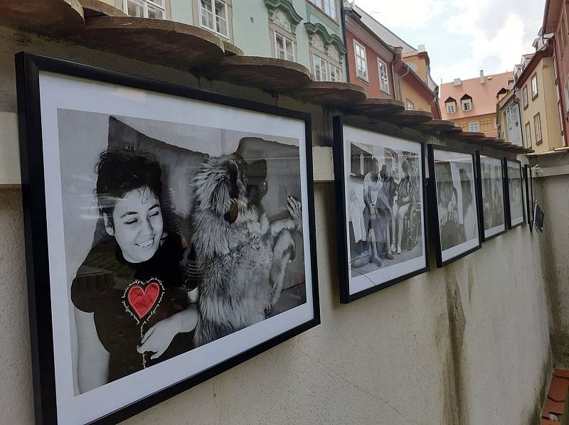 Výstavy, koncerty, divadla, filmové projekce, nebo také i různé workshopy. Takovéto umělecké hody jsme mohli vidět od čtvrtka 10. do soboty 12. června na dvaceti dvou místech v Chebu pod širým nebem.