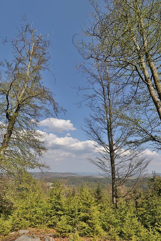 Rozhledna na Krásenském vrchu, Krudum a Dlouhá stoka