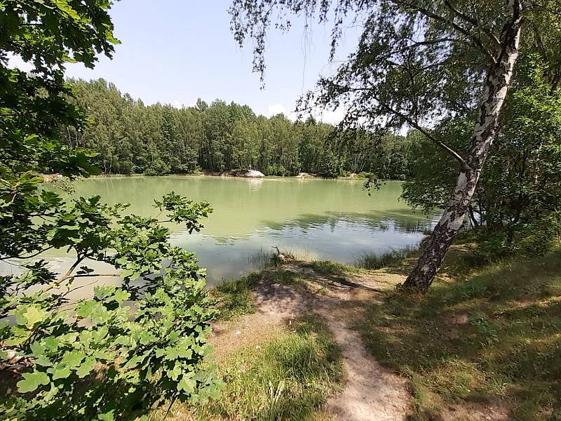 Příroda a pořádek. Tak bychom mohli popsat akci, která probíhá od ranních do večerních hodin ve spolupráci s Národní přírodní rezervací Soos.