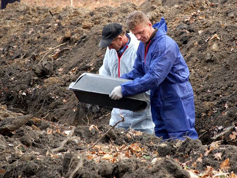 Ukládání prvních ostatků německých vojáků na hřbitově v Chebu