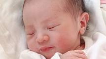 DO HA ANH NGUYEN přišla na svět ve středu 8. dubna v 19.48 hodin. Při narození vážila 2 920 gramů a měřila 49 centimetrů. Z malé holčičky se těší doma v Chebu bráška a maminka Phuong Anh s celou rodinou.