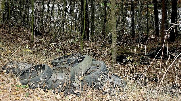 ČERNÁ skládka pneumatik dělá vrásky nejednomu ekologicky smýšlejícímu občanovi Chebska. Petr Švehla z Františkových Lázní ji objevil v minulém týdnu mezi Potočištěm a Chvoječnou. 