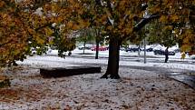 Chebsko zasypal v říjnu sníh. 