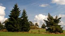 Národní přírodní památka Tři křížky ve Slavkovském lese