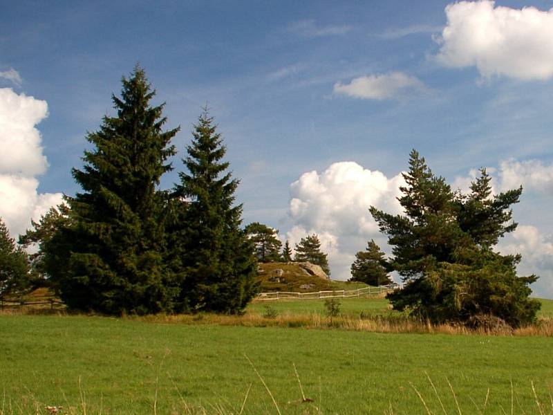 Národní přírodní památka Tři křížky ve Slavkovském lese