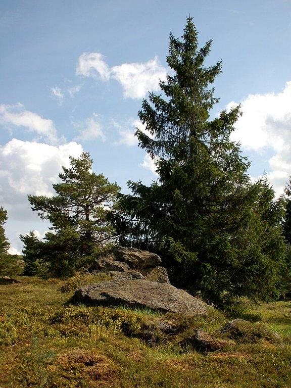 Národní přírodní památka Tři křížky ve Slavkovském lese