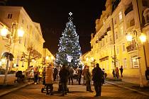 Od prvního prosince si už můžeme zakoupit vánoční stromek i do našich domovů i ve Františkových Lázních.