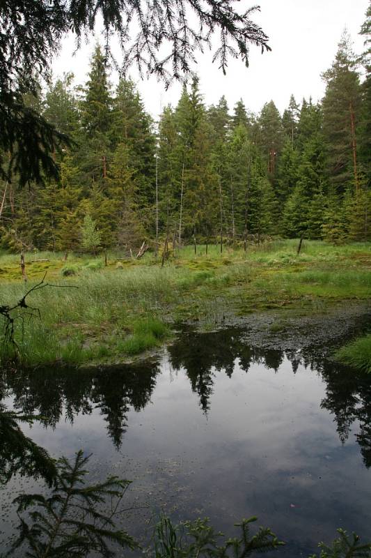 Turisté se vydali poznat dvě nové vyhaslé sopky.