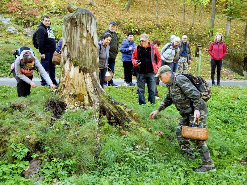 Tradiční uzamčení lesa se uskutečnilo na Zelené hoře na Chebsku.