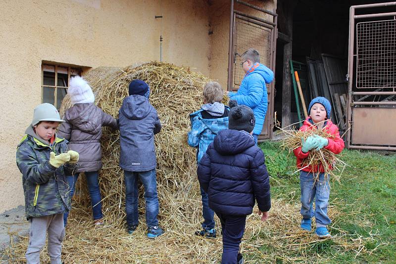 Už páté Slámování se uskutečnilo v Dolním Žandově. Účastníci tradiční akce si mohli nejen vyrobit krásné výrobky ze slámy, ale hlavně pomoci při úpravě figur slaměného betléma a při tvoření jeho dalších figur. Postavy v jednom z minulých ročníků vyrobili 