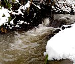 Břehnický potok je menší vodní tok ve Smrčinách a v Chebské pánvi, pravostranný přítok Ohře v Chebu.