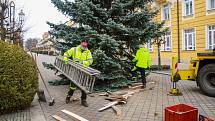 Františkolázeňskou Národní třídu zdobí dvanáctimetrový vánoční strom. Letošní je opět přímo z lázeňského města.