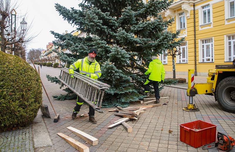 Františkolázeňskou Národní třídu zdobí dvanáctimetrový vánoční strom. Letošní je opět přímo z lázeňského města.