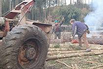 V lesích na Chebsku stále pokračují práce na odstranění kalamity