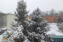 Západní Čechy zasypal první letošní sníh.