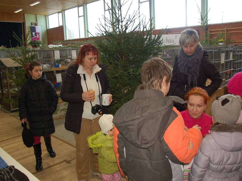 Na výstavu zvířat v německém Hohenbergu zavítaly děti z Domu dětí a mládeže Sova v Chebu.