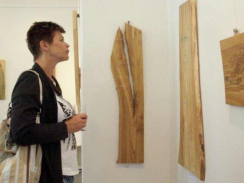 'Proměny dřeva' je název nové výstavy, kterou mohou zhlédnout návštěvníci františkolázeňské Galerie Brömse. 