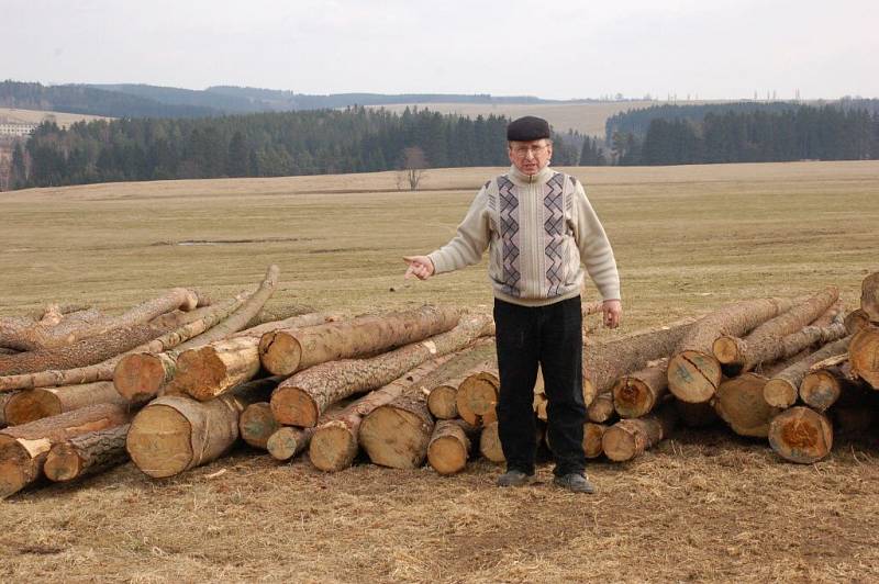 Pastviny Josefa Nováka v Hoštci u Teplé