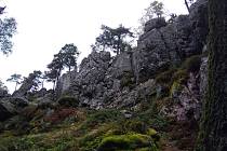 Pouhých Pár kilometrů od Chebu u obce Hazlov se nachází přírodní památka s názvem Goethova skalka.