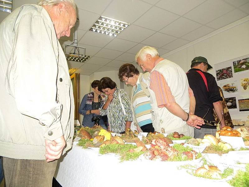 Téměř tisíc lidí zavítalo o víkendu na výstavu hub do Mariánských Lázní. 