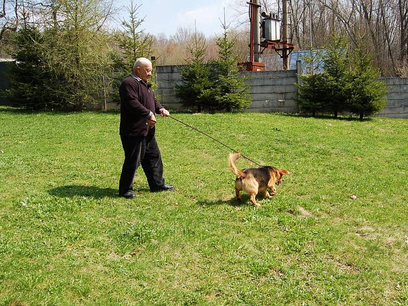 Zdeněk Srstka dorazil do útulku v Horní Hraničné natočit další díl pořadu Chcete mě? 