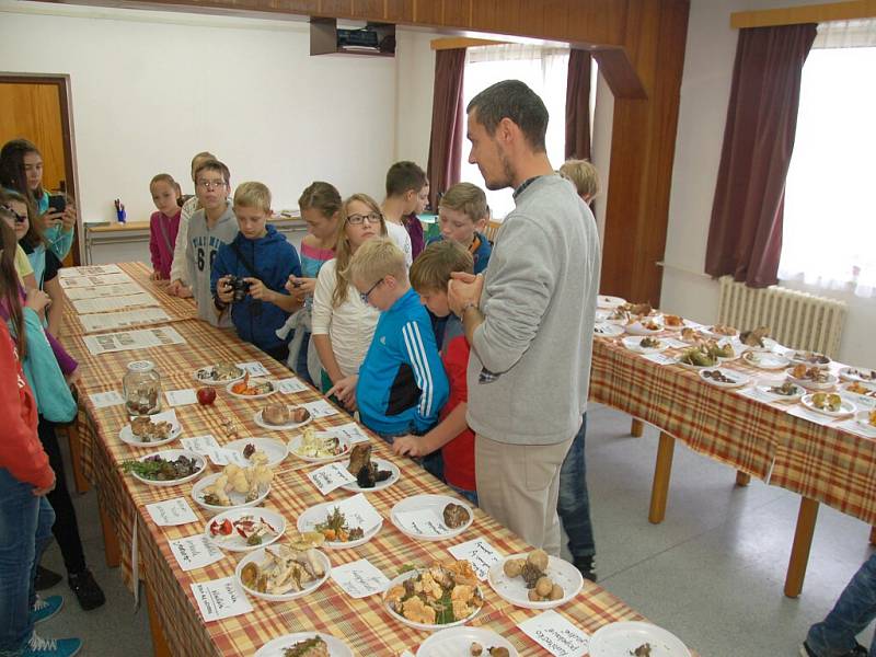 Ekologické centrum v Chebu  zaplnilo sto padesát druhů hub.